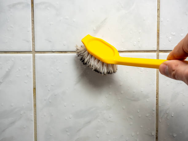 Best Residential Mold Removal  in Silver Springs Shores, FL