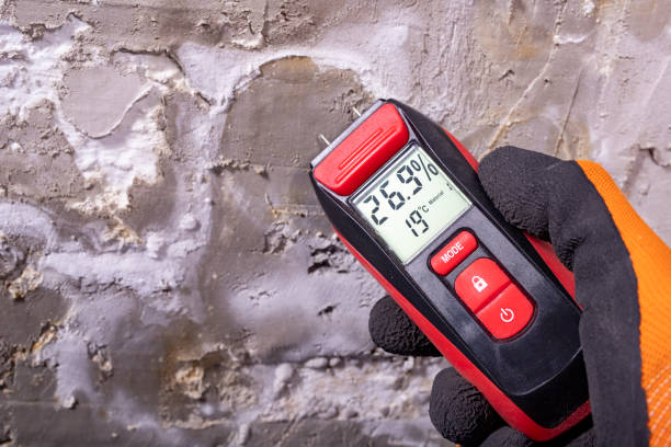 Best Mold Removal Near Me  in Silver Springs Shores, FL