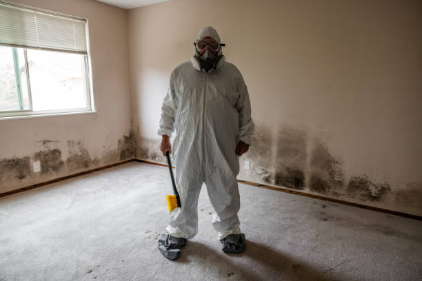 Best Mold Cleaning Services  in Silver Springs Shores, FL
